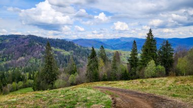 Karpatlar 'da dağ yolu olan güzel bir manzara.