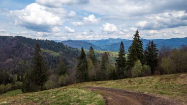 Yeşillik ve ağaçlarla çevrili güzel bir yol manzarası.