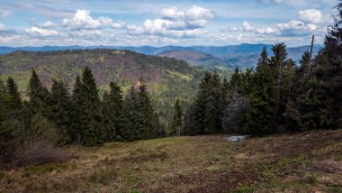 Yeşil çimenleri ve dağları olan güzel bir yaz manzarası