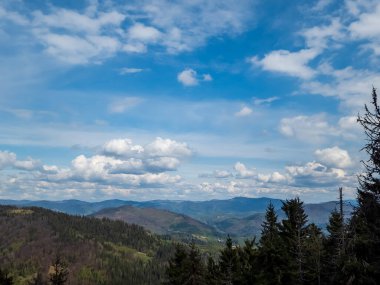 Karpat dağlarının güzel manzarası