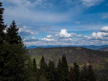 Ormanı ve bulutlu gökyüzü olan güzel dağ manzarası