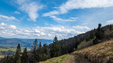 Sonbahar mevsiminde Karpatlar 'ın güzel manzarası