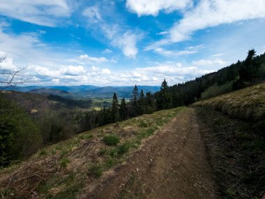 Baharda Karpat Dağları, Ukrayna