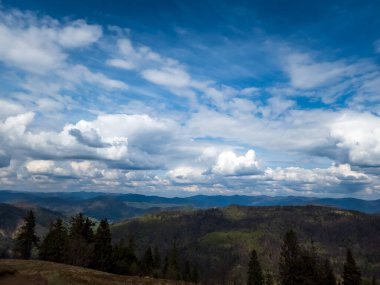 Yazın Karpat Dağları