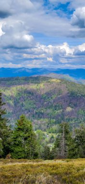 Dağları nın görünümü