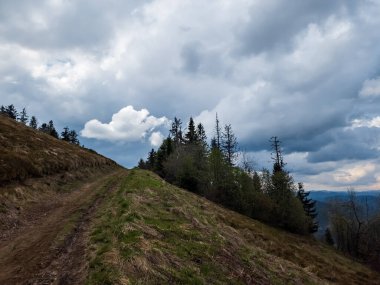 Bulutlu bir gökyüzü ile dağ sırasına giden yol.