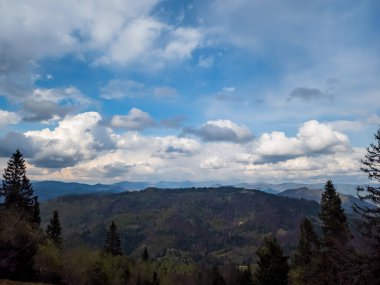 Karpat dağlarının güzel manzarası, Ukrayna