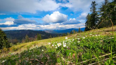 Dağ sırası olan güzel bir manzara.