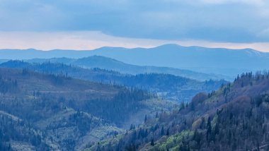 Yüksek bir dağdan dağlara bak.