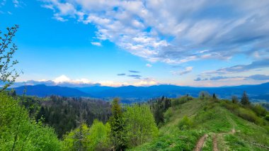 Karpatlar 'daki dağ sırasının güzel manzarası