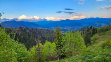 Dağları ve ağaçları olan güzel bir manzara.