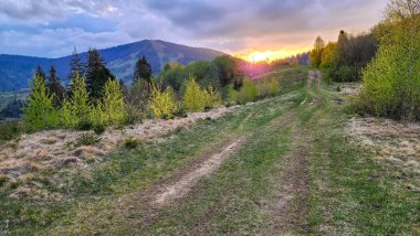 Dağların güzel manzarası, Karpatlar, Ukrayna