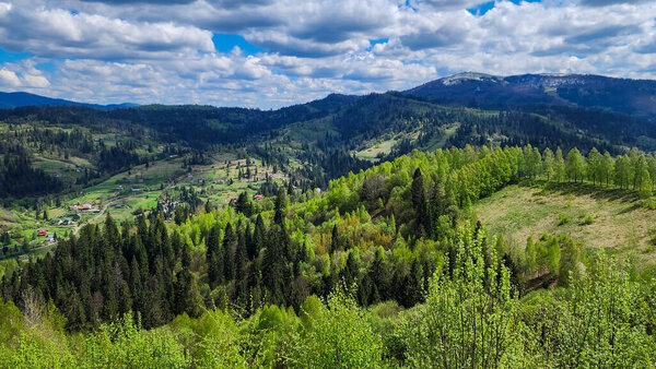 summer landscape in mountains of carpathian