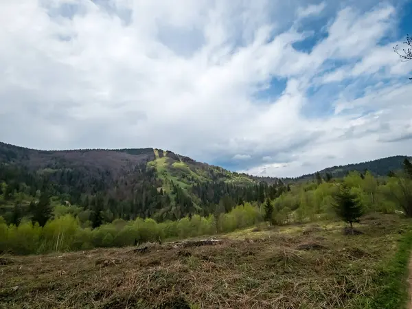 Dağlarda dağları olan güzel bir manzara.