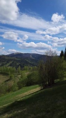 Yeşil çimen ve mavi gökyüzü olan güzel bir manzara.