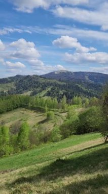 Nehir ve bulutlu gökyüzü olan güzel bir manzara.
