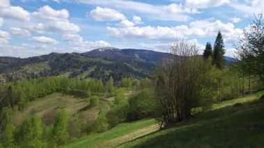 yeşil orman ve mavi gökyüzü.