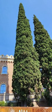 Roma şehri, İtalya.