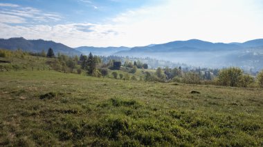 Dağlarda yeşil çimenler ve ağaçlarla kaplı yaz manzarası