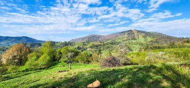 Dağlarda yeşil ağaçlar