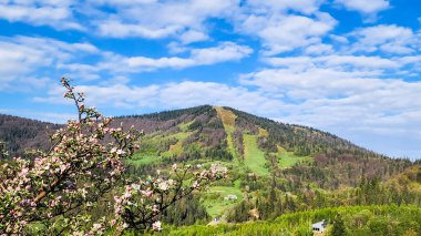 Doğanın güzel manzarası