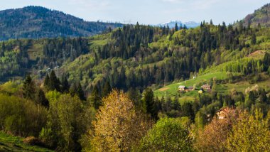 Ukrayna Karpat Dağları 'ndaki dağ manzarası