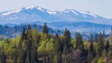 Karlı güzel dağ manzarası