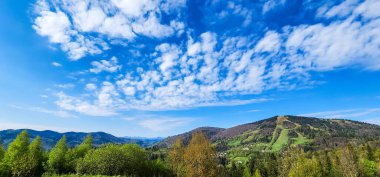 Güzel yaz manzarası Karpatlar, Ukrayna, Avrupa
