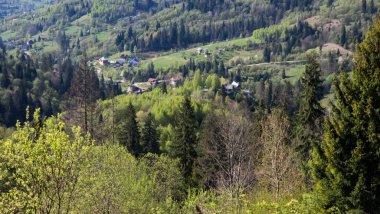 Karpat Ormanı 'ndaki dağların tepesinden manzara