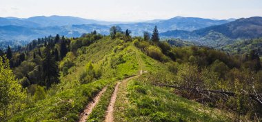 Yazın Karpatlar 'da dağ yolu