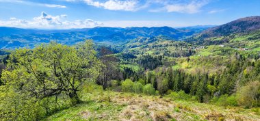 Sgorgorgora köyündeki bir sıradağdaki güzel bahar ormanı manzarası - gori gorgor