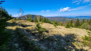 Yeşil çimenleri ve mavi bulutlu gökyüzü ile güzel bir yaz manzarası