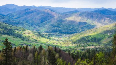 Önünde orman olan güzel bir dağ manzarası.