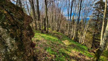 Dağların güzel manzarası