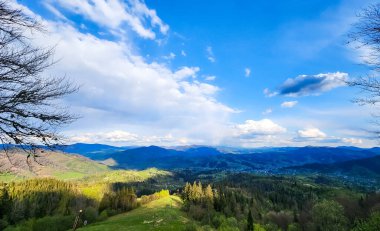 Dağlarda yeşil çayırları olan güzel bir yaz manzarası