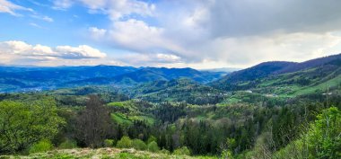 Ormanlı yeşil dağların manzarası