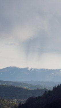 ormanda yağmur damlaları