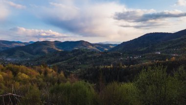 Yazın Karpat Dağları