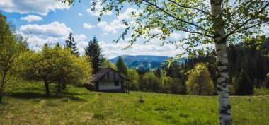 Norveç 'in güzel doğası