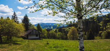 Ormanın içindeki eski ahşap ev