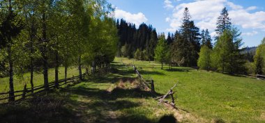 Bir dağ köyünün ahşap çitlerine bakın.