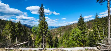 Tatra dağlarının ulusal parkındaki dağların ve ormanların güzel manzarası
