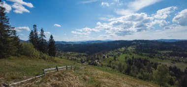 Yeşil çimenli güzel yaz manzarası