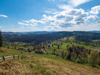 Karpatların dağlarında yeşil ağaçlar ve çayırlar olan güzel yaz manzarası