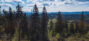 Yaz zamanı Karpatlar 'ın dağ manzarası