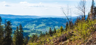 Yeşil çimenler ve ağaçlarla kaplı dağ manzarası