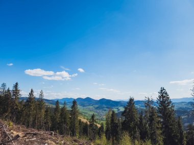 Karpatların dağlarına bak.