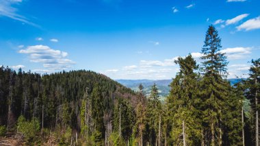 Dağların güzel manzarası