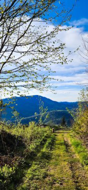 Dağlarda patikası olan güzel bir manzara.