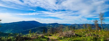 Bir yaz günü Karpat Dağları 'ndaki Karpatlar' ın panoramik manzarası